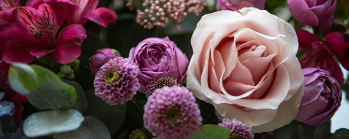 Blumen 02